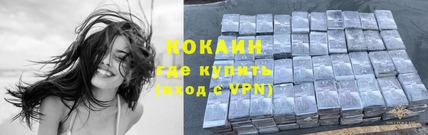 индика Баксан