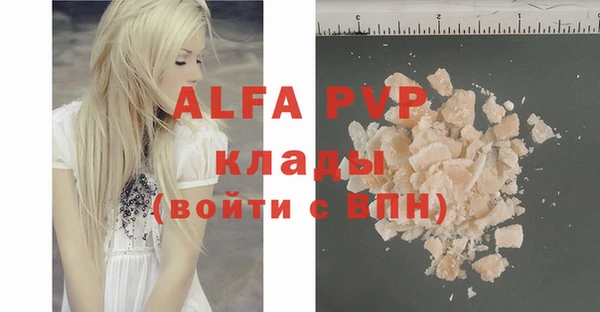 индика Баксан