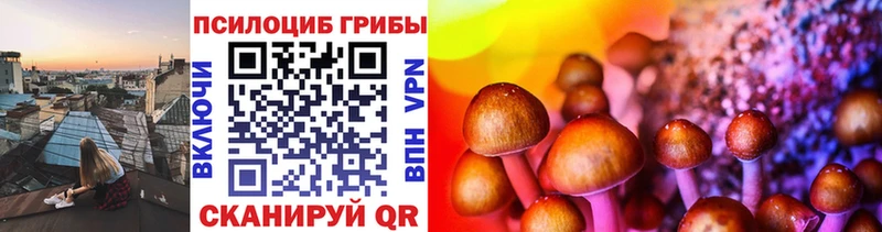 даркнет наркотические препараты Ладушкин Галлюциногенные грибы Cubensis сколько стоит